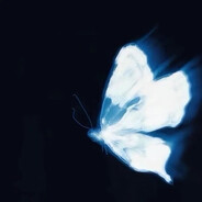 对面的孩子不用行此大