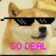 BOT Doge