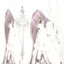 asx's avatar