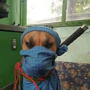 山雨欲来风满楼