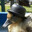 the duck hat