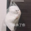 月亮委屈鬼