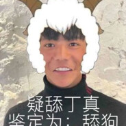 不说藏话