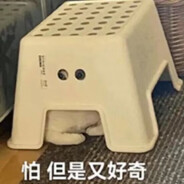 臭读书的