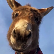 狂野小驴之我不吃驴肉