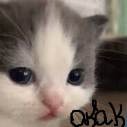 HeDonk666