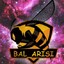 BAL_ARISI  蜂