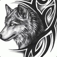 你看过我的大炮吗