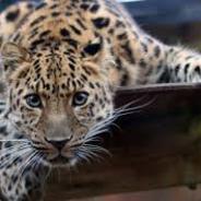 Мужчина, который