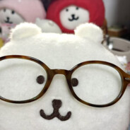 不守纪律的近视眼里兜熊