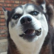 壮士请先杀我队友！