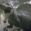 Spinosaur