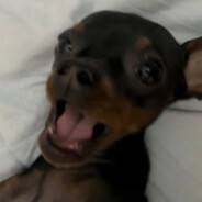 网恋秀牛被录屏