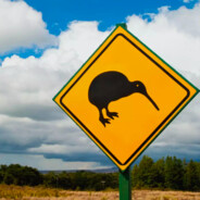 两天不扣没没事事的