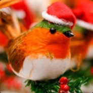 Yule Bird