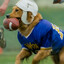 Avatar of Air Bud