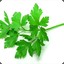 Dancing Parsley