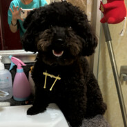 狭路相逢勇者胜（有老婆版）