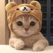 小樓昨夜又東風