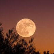 moonrise