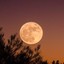 moonrise