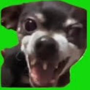 ЗЛАЯ СОБАКА - steam id 76561198387873612