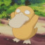 PSYDUCK