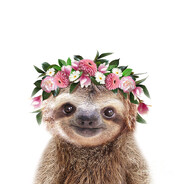 Slothity216