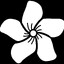 Oleander