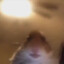 Hamster209910