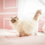 cute_girl