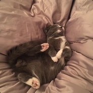 不太想陪你过冬天