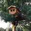 Im a Treehouse
