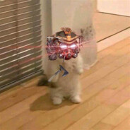 HanBerGerrr汉堡王子