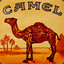 camel blues