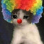Clown