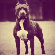 Figaro - steam id 76561197960581115