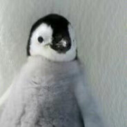 企鹅~尣