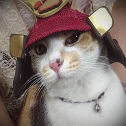 KotikSamurai