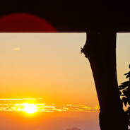 她的比塞进去赢不了