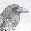 RAVEN