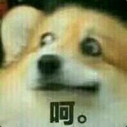 我再玩骑士我是狗