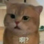 此人骚到不行