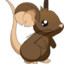 koalazhong