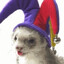 Borko