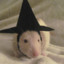 RatsAgainstCatholics