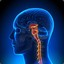 Neurosurgeon