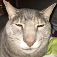 顺丰快递送啥都快，随时随地都能寄