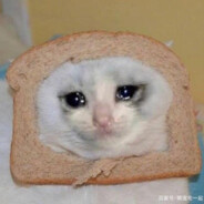 不多说了我先溜