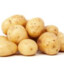 BOTPatatas